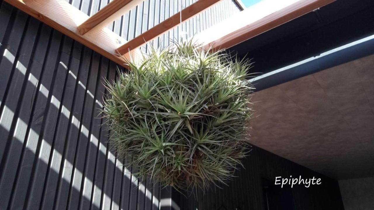 Epiphytes Et Succulentes Apartment Paimpol Luaran gambar